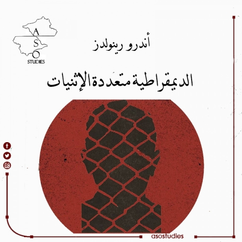 تعزيز الديمقراطية متعددة الإثنيات